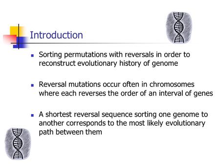 Introduction Sorting permutations with reversals in order to reconstruct evolutionary history of genome Reversal mutations occur often in chromosomes where.
