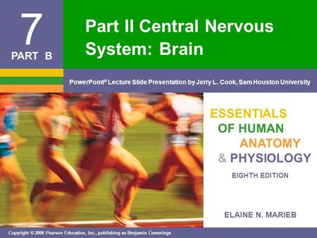 Part II Central Nervous System: Brain