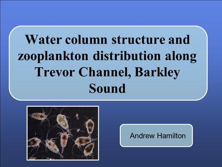 Water column structure and zooplankton distribution along Trevor Channel, Barkley Sound Andrew Hamilton.