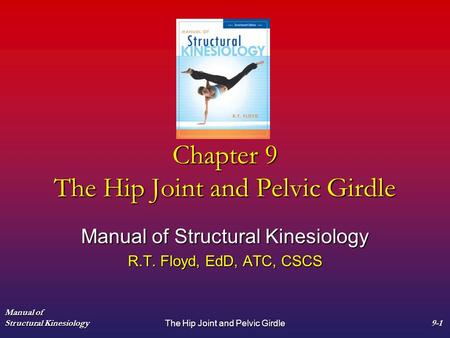 Chapter 9 The Hip Joint and Pelvic Girdle