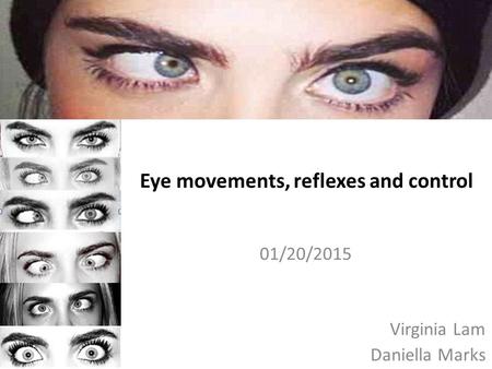 Eye movements, reflexes and control