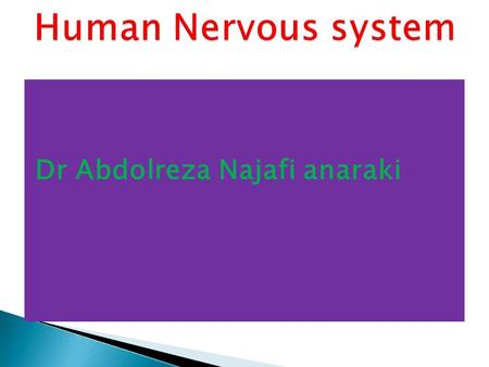 Human Nervous system Dr Abdolreza Najafi anaraki.