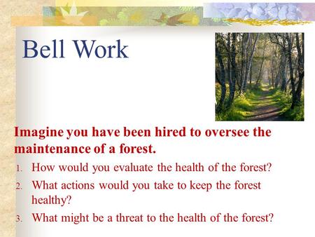 Bell Work Imagine you have been hired to oversee the maintenance of a forest. How would you evaluate the health of the forest? What actions would you take.