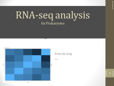 RNA-seq analysis case study Anne de Jong 2015