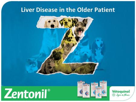 Liver Disease in the Older Patient. Agenda Liver Disease in the ageing patient Types Investigation Blood tests Others Treatment Antioxidants and Zentonil.