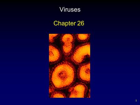 Viruses Chapter 26.