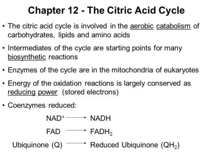 Prentice Hall c2002Chapter 121 Chapter 12 - The Citric Acid Cycle The citric acid cycle is involved in the aerobic catabolism of carbohydrates, lipids.