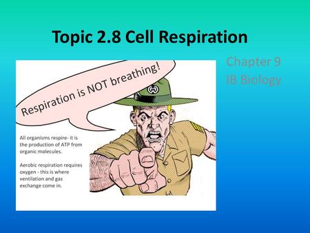 Topic 2.8 Cell Respiration