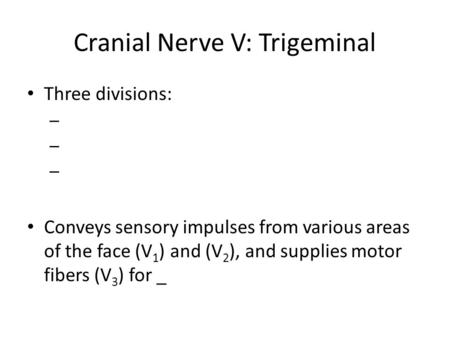 Cranial Nerve V: Trigeminal