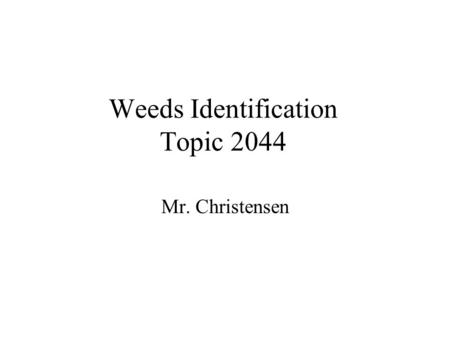 Weeds Identification Topic 2044 Mr. Christensen. Why are weeds weeds? Weeds are plants out of place. Reduce crop Yields, compete for water, nutrients.