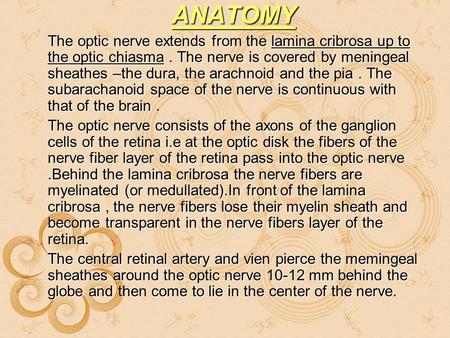 ANATOMY The optic nerve extends from the lamina cribrosa up to the optic chiasma . The nerve is covered by meningeal sheathes –the dura, the arachnoid.