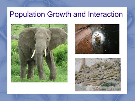 Population Growth and Interaction. Biotic Potential Highest possible per capita growth rate for a population. Factors which contribute to biotic potential.