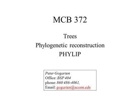 MCB 372 Trees Phylogenetic reconstruction PHYLIP Peter Gogarten Office: BSP 404 phone: 860 486-4061,