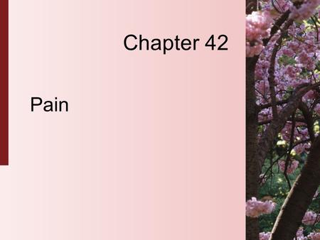 Chapter 42 Pain.