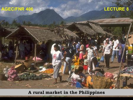 AGEC/FNR 406 LECTURE 8 A rural market in the Philippines.