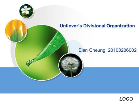 LOGO Unilever’s Divisional Organization Elan Cheung 20100206002.