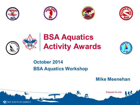 1 BSA Aquatics Activity Awards October 2014 BSA Aquatics Workshop Mike Meenehan.