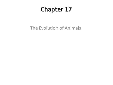 The Evolution of Animals