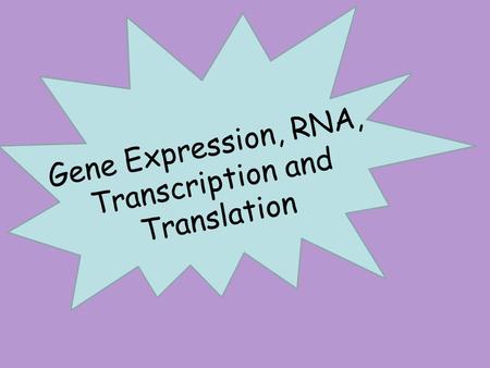 Gene Expression, RNA, Transcription and Translation