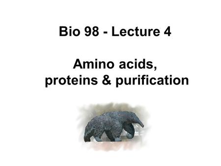 Bio 98 - Lecture 4 Amino acids, proteins & purification.