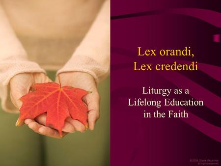 © 2009, Diana Macalintal. All rights reserved. Lex orandi, Lex credendi Liturgy as a Lifelong Education in the Faith.