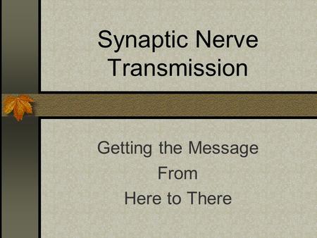 Synaptic Nerve Transmission Getting the Message From Here to There.