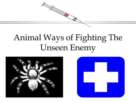 Animal Ways of Fighting The Unseen Enemy. Animal Ways of Fighting The Unseen Enemy (3057) Continued l Two types of “lines” in the body’s defense against.