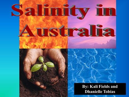 By: Kali Fields and Dhanielle Tobias. Unsuitable soil and topography Soil salinity is the build up of salts to such a point that it ruins the soil and.