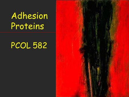 Adhesion Proteins PCOL 582