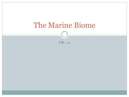 The Marine Biome Ch. 11.