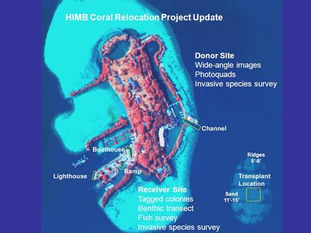 HIMB Coral Relocation Project Update Ridges 5’-6’ Sand 11’-15’ Donor Site Wide-angle images Photoquads Invasive species survey Receiver Site Tagged colonies.