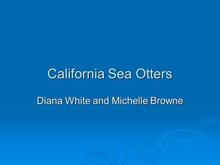California Sea Otters Diana White and Michelle Browne.