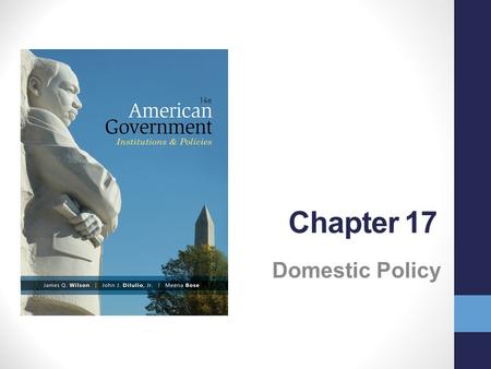 Chapter 17 Domestic Policy.