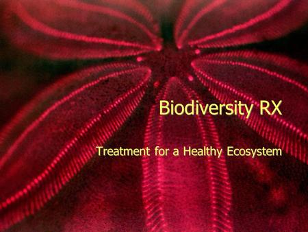 Biodiversity RX Treatment for a Healthy Ecosystem.