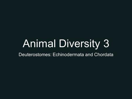 Animal Diversity 3 Deuterostomes: Echinodermata and Chordata.