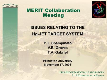 MERIT Collaboration Meeting ISSUES RELATING TO THE Hg-JET TARGET SYSTEM P.T. Spampinato V.B. Graves T.A. Gabriel Princeton University November 17, 2005.