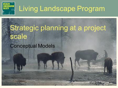 Living Landscape Program Conceptual Models Strategic planning at a project scale.