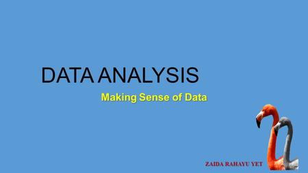 DATA ANALYSIS Making Sense of Data ZAIDA RAHAYU YET.