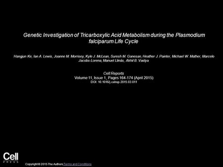 Genetic Investigation of Tricarboxylic Acid Metabolism during the Plasmodium falciparum Life Cycle Hangjun Ke, Ian A. Lewis, Joanne M. Morrisey, Kyle J.