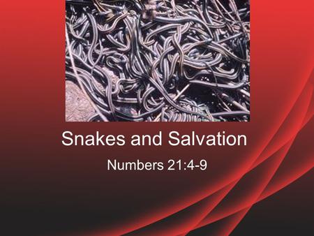 Snakes and Salvation Numbers 21:4-9. Familiar Story I am sure most of you have heard of this story –Israel complained AGAIN –God sent poisonous snakes.