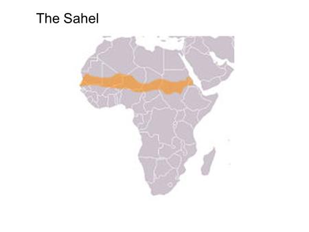 The Sahel. All of the poverty trap risk factors: food insecurity, climate shocks, pests, Infectious disease, water, power, isolation.