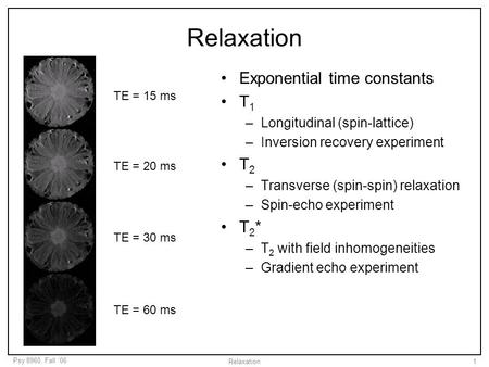 Relaxation Exponential time constants T1 T2 T2*