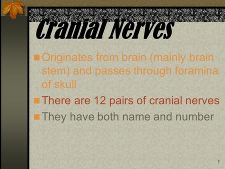 1 Cranial Nerves Originates from brain (mainly brain stem) and passes through foramina of skull There are 12 pairs of cranial nerves They have both name.