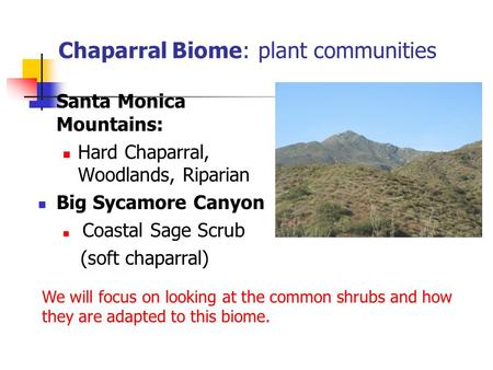 Chaparral Biome: plant communities