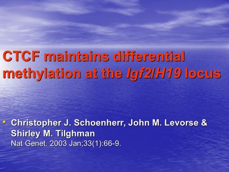 CTCF maintains differential methylation at the Igf2/H19 locus Christopher J. Schoenherr, John M. Levorse & Shirley M. Tilghman Nat Genet. 2003 Jan;33(1):66-9.