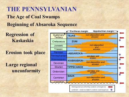THE PENNSYLVANIAN The Age of Coal Swamps Beginning of Absaroka Sequence Regression of Kaskaskia Erosion took place Large regional unconformity.