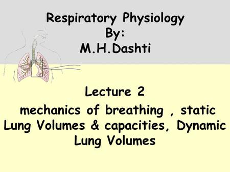 Respiratory Physiology By: M.H.Dashti Lecture 2 mechanics of breathing, static Lung Volumes & capacities, Dynamic Lung Volumes.