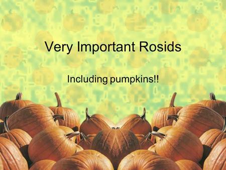 Very Important Rosids Including pumpkins!!. Rosids Many families in Colorado Some are included in this overview.