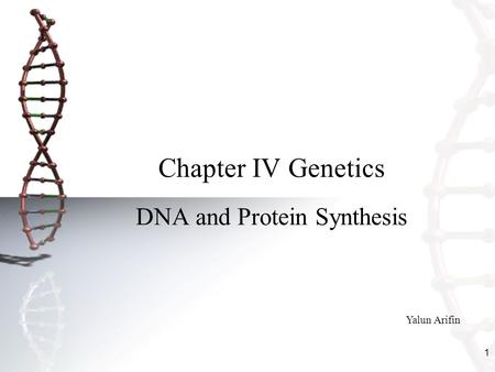 1 Chapter IV Genetics DNA and Protein Synthesis Yalun Arifin.