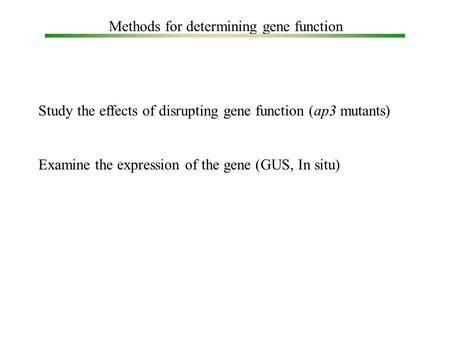Methods for determining gene function Study the effects of disrupting gene function (ap3 mutants) Examine the expression of the gene (GUS, In situ)